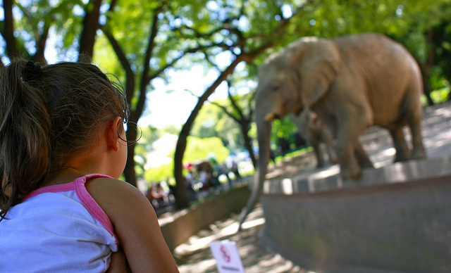 5381736928_b1885f1abb_z-2